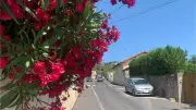Dengue à La Corniche : habitants sereins face à la démoustication