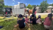 Des écoliers découvrent la ferme équestre du Mazel en Lozère