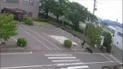 Des ours aperçus au Japon : une centaine d'écoles fermées