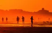 Des pays accusés de saper la science climatique à la COP31