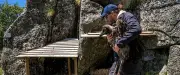 Deux nouveaux gypaètes barbus installés dans le Massif de l’Aigoual