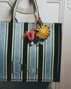 Dioriviera : Anderson réinvente les accessoires Dior avec humour et luxe