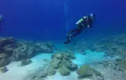 Disparue en mer 8 heures, une plongeuse retrouvée vivante en Espagne