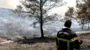 Démonstration choc : un mégot enflamme une forêt en moins d'une minute