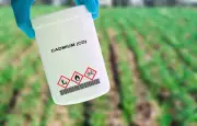 Dépistage du cadmium en labo dès le 16 juin pour les surexposés