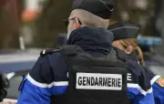 Drame évité : nouveau-né retrouvé sain et sauf dans une forêt du Haut-Rhin