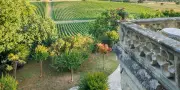 Du Médoc au Sauternais : des jardins d'exception au milieu des vignes