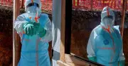Ebola Bundibugyo en RDC : l'OMS face à une crise sanitaire complexe