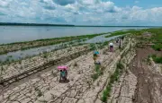 El Niño 2026 : 80% de chances d'un épisode modéré à fort selon l'OMM