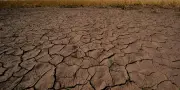 El Niño a commencé : réchauffement du Pacifique équatorial