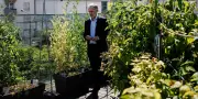 Emmanuel Grégoire : « Pour s'adapter au climat, il faut changer nos rythmes de vie »