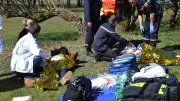 Exercice de sécurité civile à la Scala d'Avignon avec nombreuses victimes