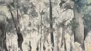 Exposition «Nature secrète» d'Oswald Olivato à la Bergerie du Capucin