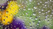 Exposition photo à Saint-Mathieu-de-Tréviers : l'eau sublimée par le club photo