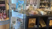 Exposition sur les animaux et légumes totémiques d'Occitanie à Saint-Christol