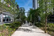 Face au changement climatique, faisons confiance à la nature
