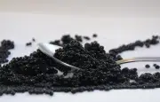Fast-food chic : Beau ouvre à Paris avec des nuggets au caviar à 75 €