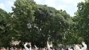 Festival Montpellier Danse : Kader Attou et la Cellule d'Epsedanse à Murviel