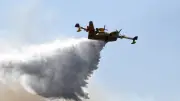 Feu de chaumes et pinède à Teyran : quatre Canadairs déployés