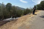 Feu de forêt à Pégomas : 400 m² brûlés, hélicoptère mobilisé