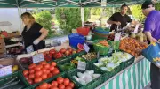Fin d'une ère pour la famille Baldit sur les marchés de Cendras