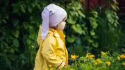 Fontaine-le-Port : une fillette de 5 ans meurt écrasée par une statue en pierre