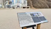 Fresque Brassens dégradée : deux hommes interpellés à Balaruc-les-Bains