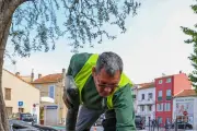 Fréjus et Saint-Raphaël : les espaces verts s'adaptent au climat