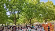 Fête de fin d'année du RPI : nature et kung-fu à l'honneur