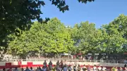 Fête de la bouvine aux Enganes : trois jours de traditions taurines