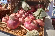 Fête de l’oignon rose en nocturne pour fuir la canicule à Roquebrune-Cap-Martin