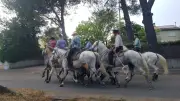 Fête de Saint-Vincent-de-Barbeyrargues du 2 au 6 juillet 2026