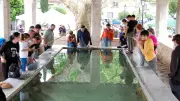 Fête du pain à Sabran : animations et vide-greniers le 7 juin