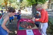 Fête mondiale du jeu à Draguignan : notre journaliste défie 12 adversaires et perd