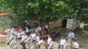 Fête votive à Galargues : trois jours de fête du 5 au 7 juin