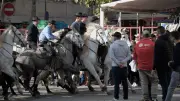 Fête votive à Mudaison : traditions taurines et animations du 26 juin au 1er juillet
