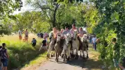 Galargues : ambiance et convivialité au cœur de la fête votive 2026