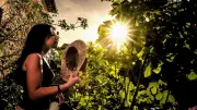 Gard en vigilance jaune canicule : jusqu'à 38,7°C mais nuits fraîches