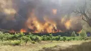 Gard : risque incendie très sévère dans le secteur Costière-Petite Camargue