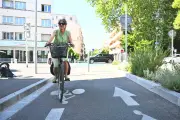 Haro sur les pistes cyclables : ces nouveaux maires qui font revenir les voitures
