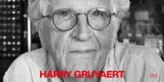 Harry Gruyaert : photographe pickpocket dans la rue