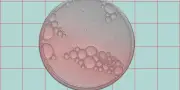 Immunothérapies des cancers : quand peut-on les arrêter ?