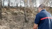 Incendie dans l'Aude : des agents de l'ONF en garde à vue, le mégot suspecté