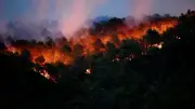 Incendie dans l'Aude : un expert plaide pour plus de moyens