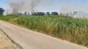 Incendie de 5 hectares à Beaucaire : pompiers mobilisés, habitation épargnée