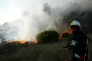Incendie à Ginasservis : 2000 m² de broussailles partent en fumée