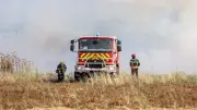 Incendie près de l'A709 à Montpellier : 2 000 m² brûlés, propagation stoppée