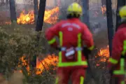 Incendie à Tanneron : 3 000 m² de végétation détruits, 18 pompiers mobilisés