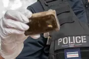Jipsa le chien policier débusque un trafiquant de drogue à La Garde