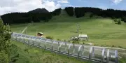 JO 2030 : plus de 3 hectares d’arbres menacés par les pistes de snowboardcross et skicross
